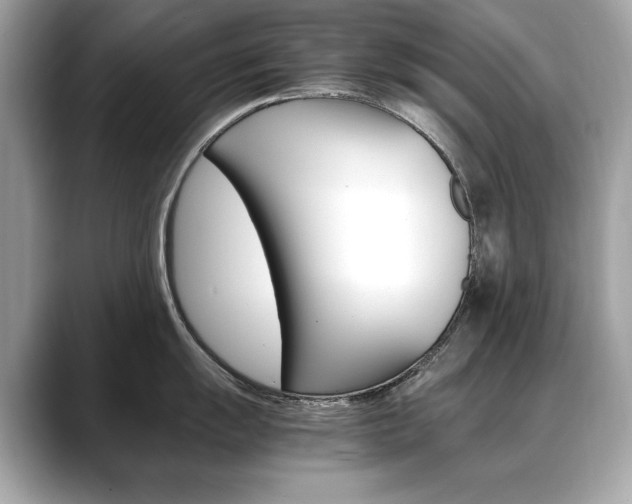 X0000088701055200705311012