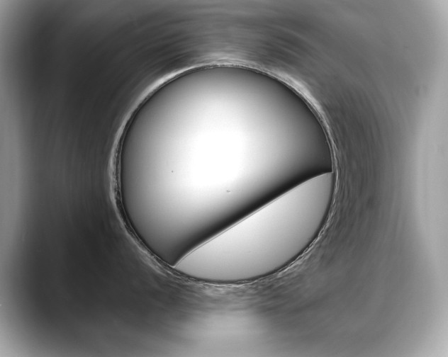 X0000088701056200705311012