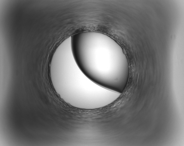 X0000088701057200705311012