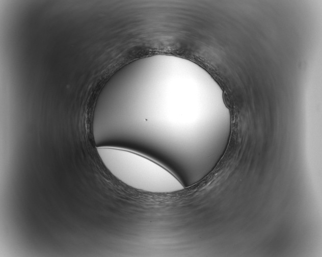 X0000088701058200705311012