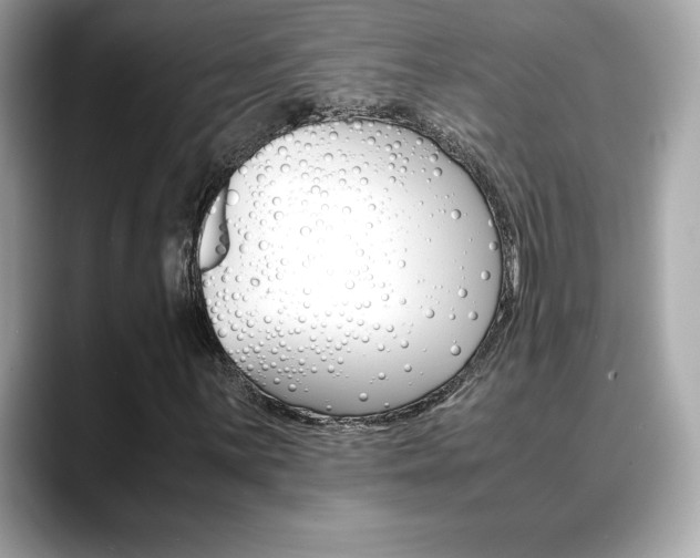 X0000088701059200705311012