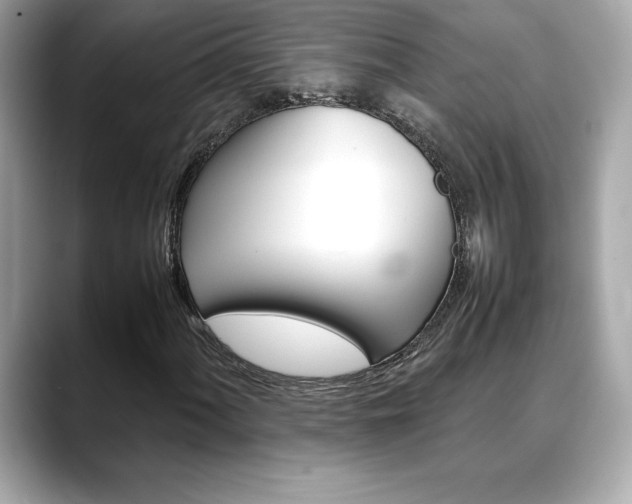 X0000088701060200705311012
