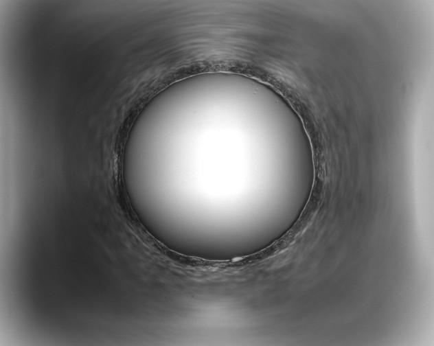 X0000088701061200705311012