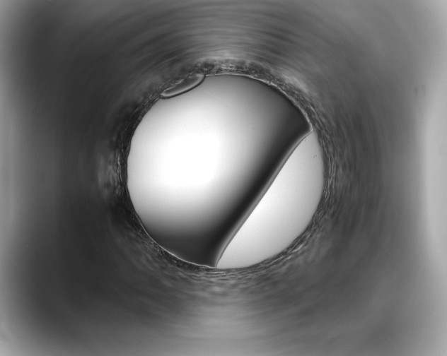 X0000088701062200705311012