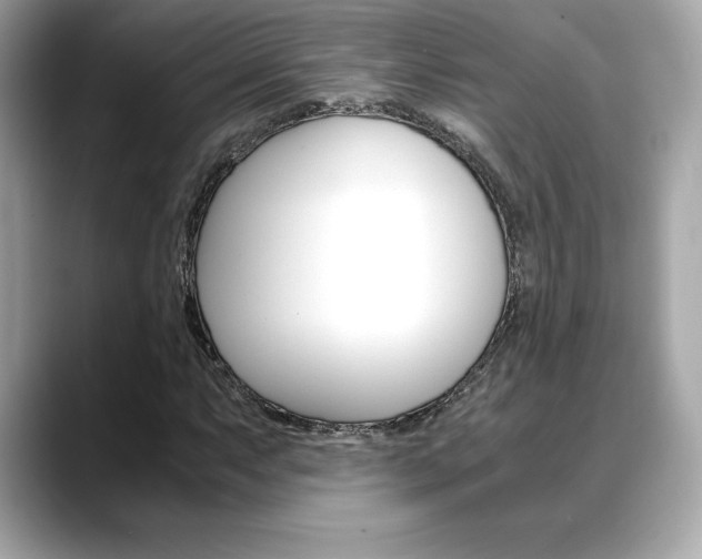 X0000088701063200705311012