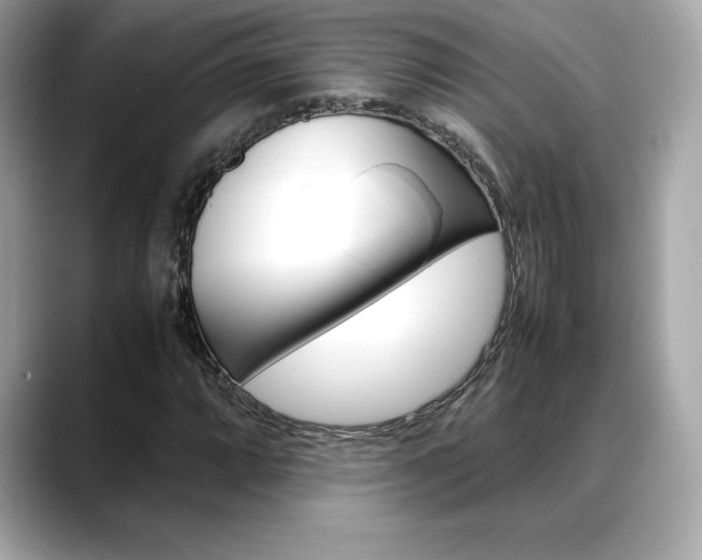 X0000088701064200705311012