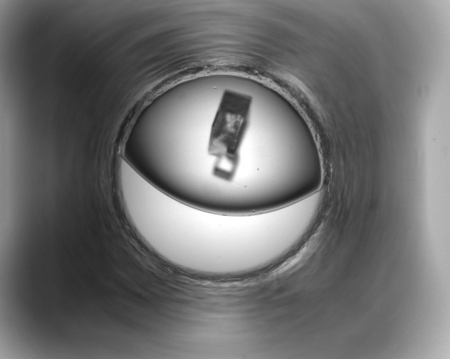 X0000088701065200705311012