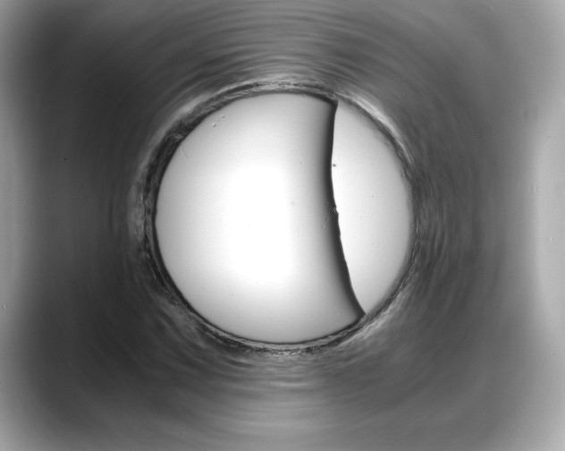 X0000088701067200705311012