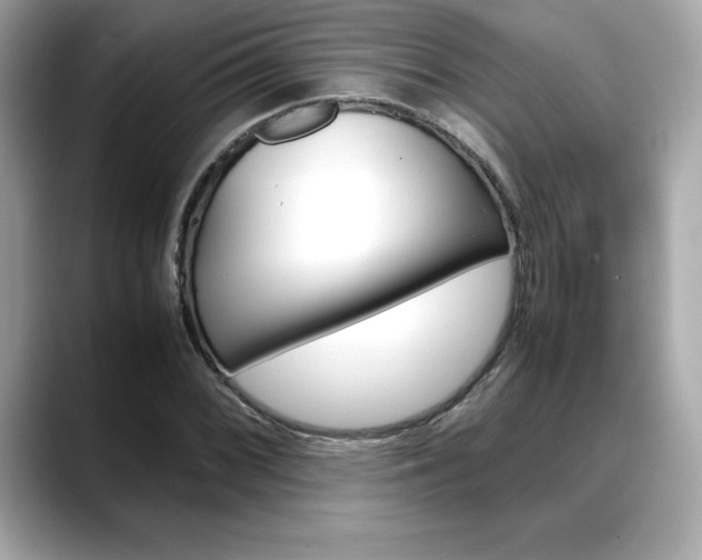 X0000088701068200705311012