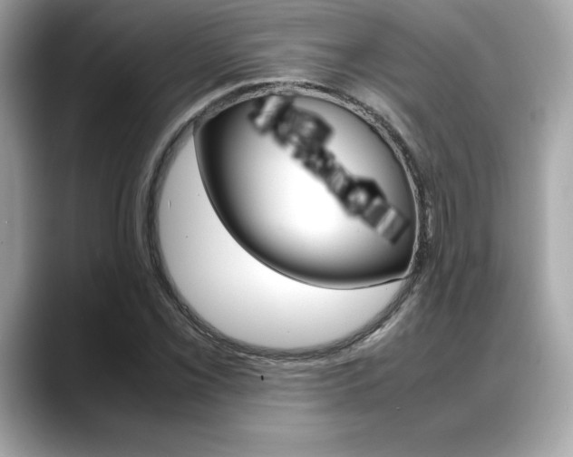 X0000088701069200705311012