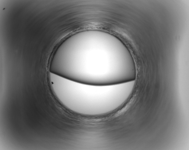 X0000088701073200705311012