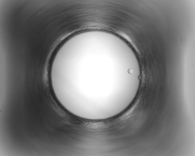 X0000088701074200705311012
