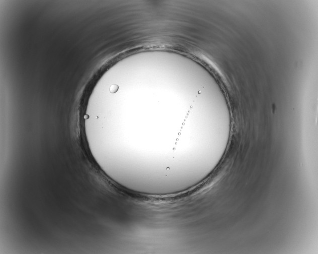 X0000088701075200705311012
