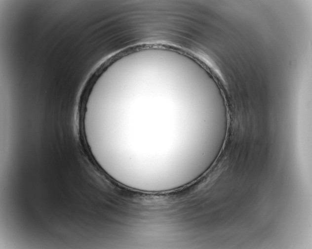 X0000088701076200705311012