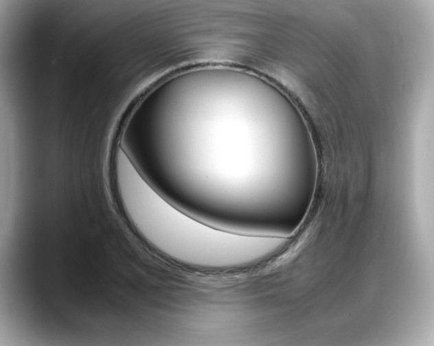 X0000088701077200705311012