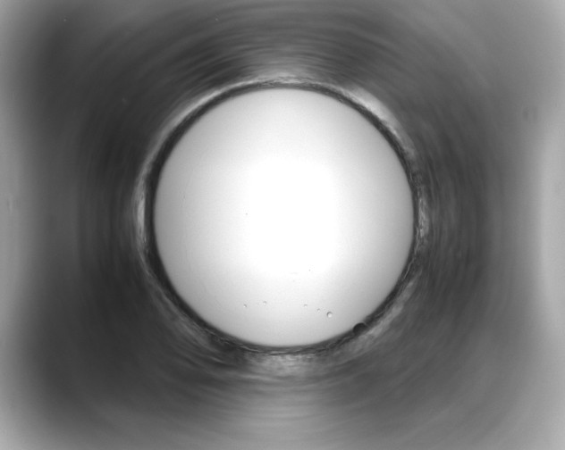 X0000088701078200705311012