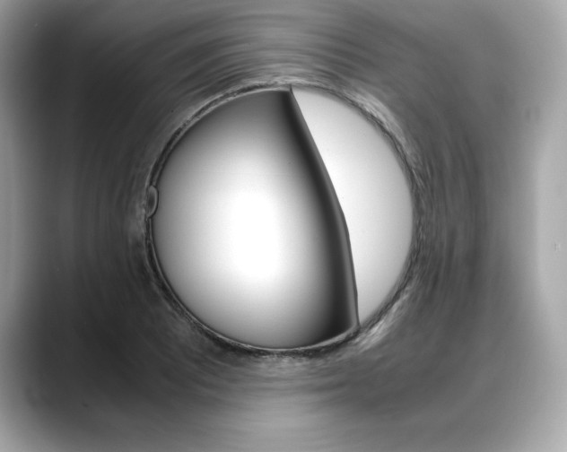 X0000088701081200705311012