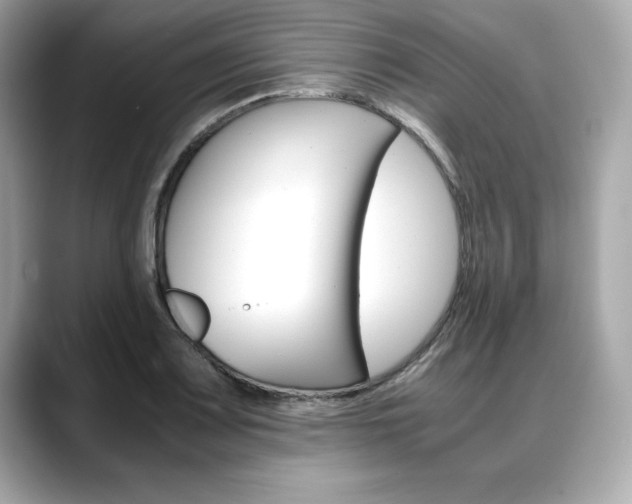 X0000088701083200705311012