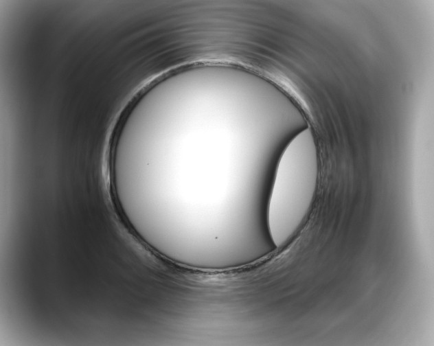 X0000088701084200705311012