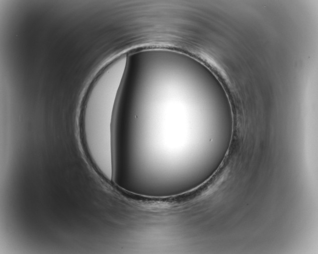 X0000088701085200705311012