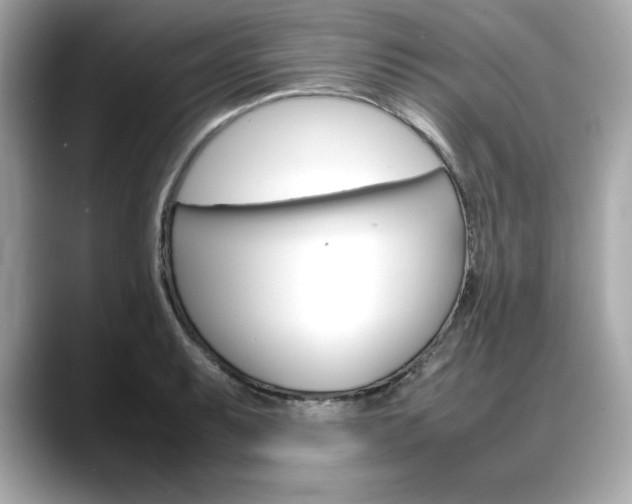 X0000088701087200705311011