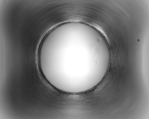 X0000088701088200705311011