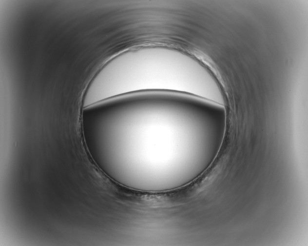 X0000088701089200705311011