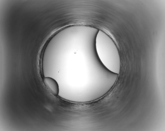 X0000088701091200705311011