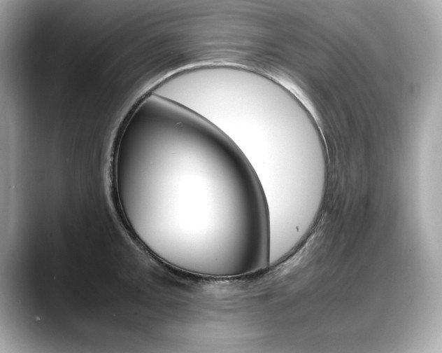 X0000088701093200705311011