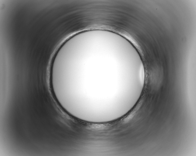 X0000088701094200705311011
