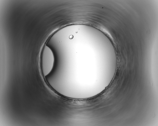 X0000088701095200705311011