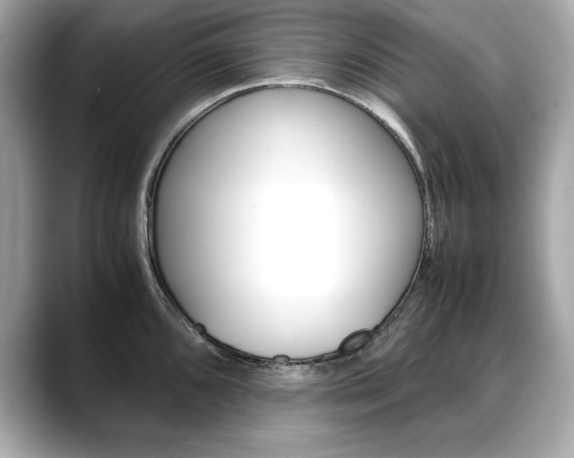 X0000088701096200705311011