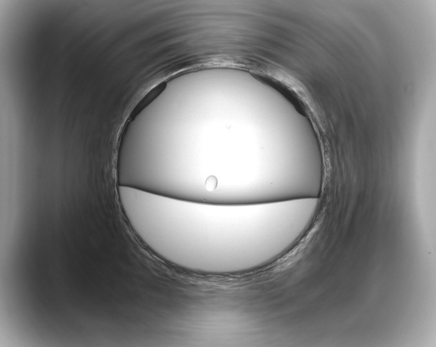 X0000088701097200705311011