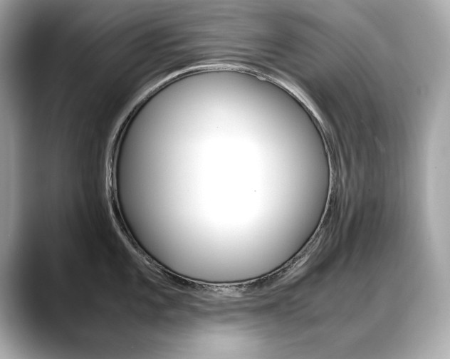 X0000088701101200705311011