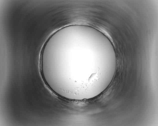 X0000088701103200705311011