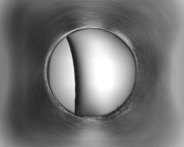 X0000088701104200705311011