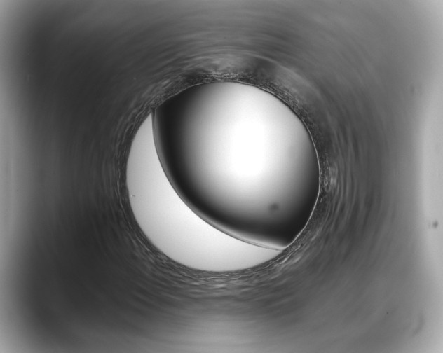 X0000088701108200705311011
