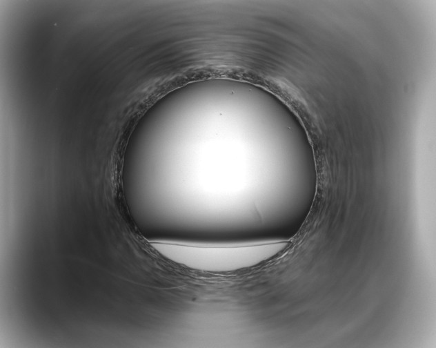 X0000088701110200705311011