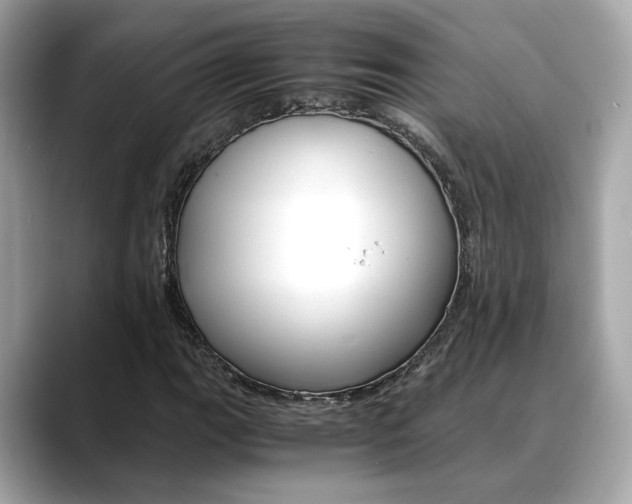 X0000088701111200705311011