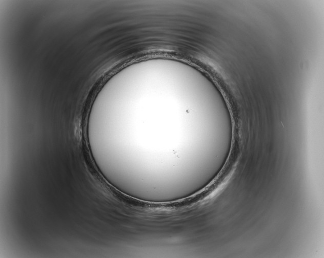 X0000088701113200705311011