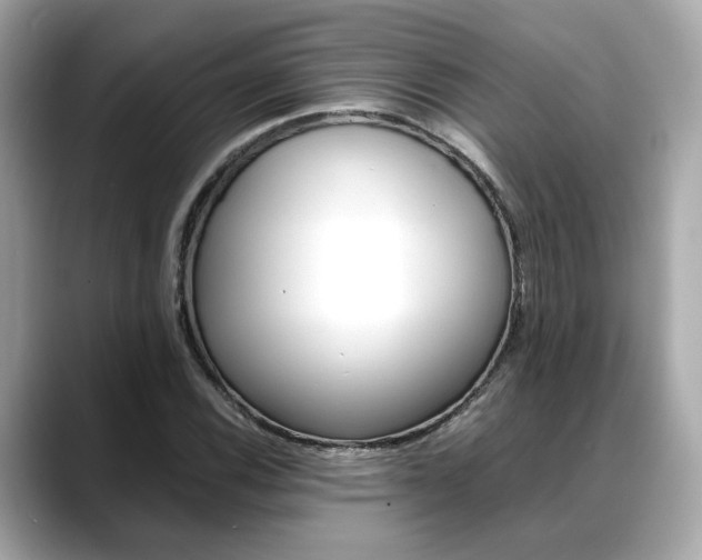 X0000088701116200705311011