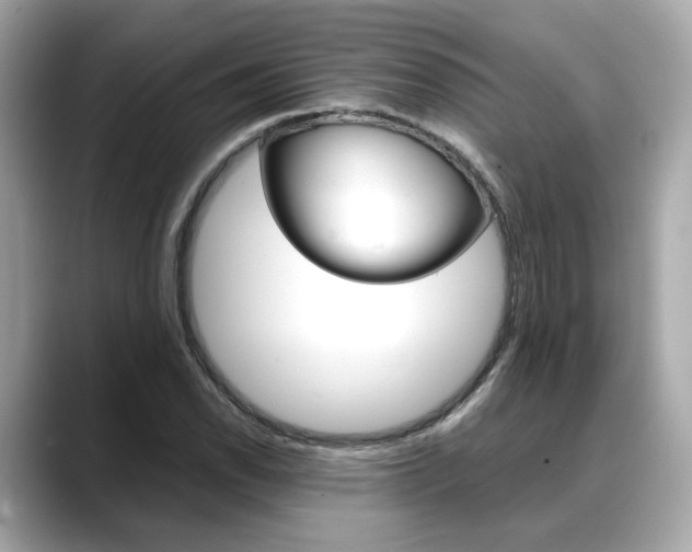X0000088701118200705311011