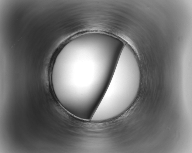 X0000088701120200705311011