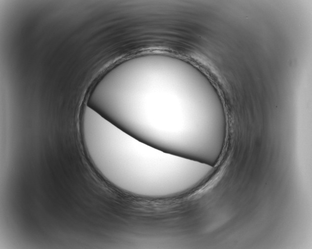 X0000088701121200705311011