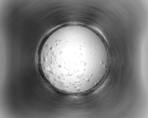 X0000088701125200705311011