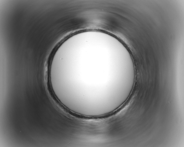 X0000088701126200705311011