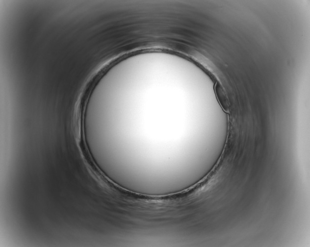 X0000088701127200705311011