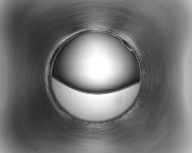 X0000088701128200705311011