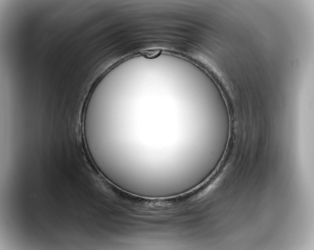 X0000088701129200705311011