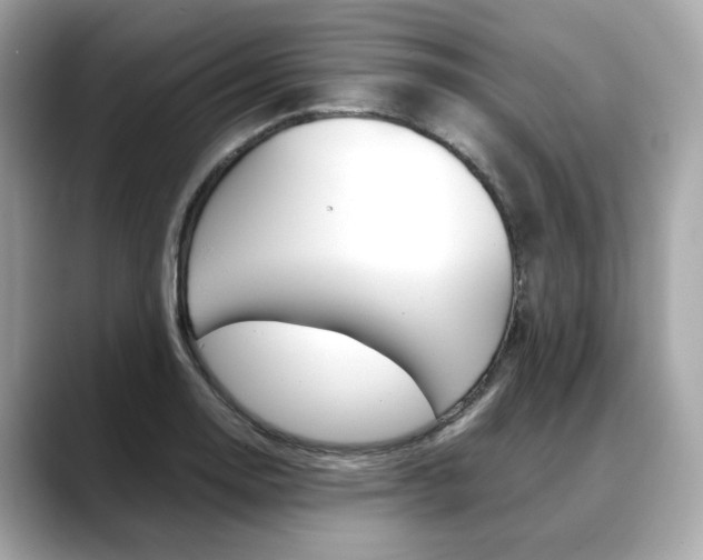 X0000088701130200705311011